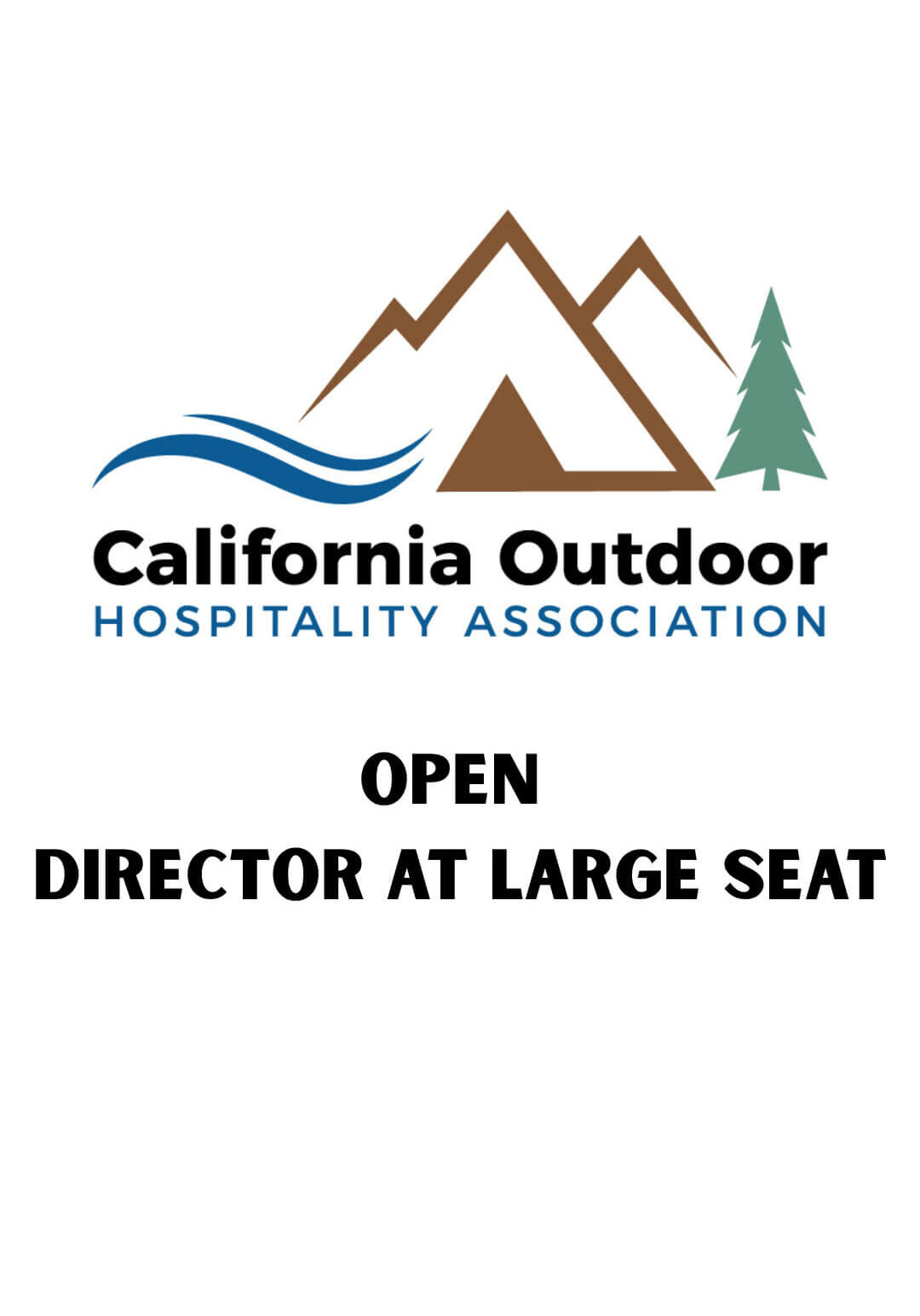 OPEN DIRECTOR AT LARGE SEATt (1) OPEN DIRECTOR AT LARGE SEATt (1)